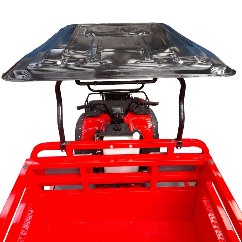 Cuatrimoto de carga 4×4 / Cuatrimoto agrícola 4×4-6