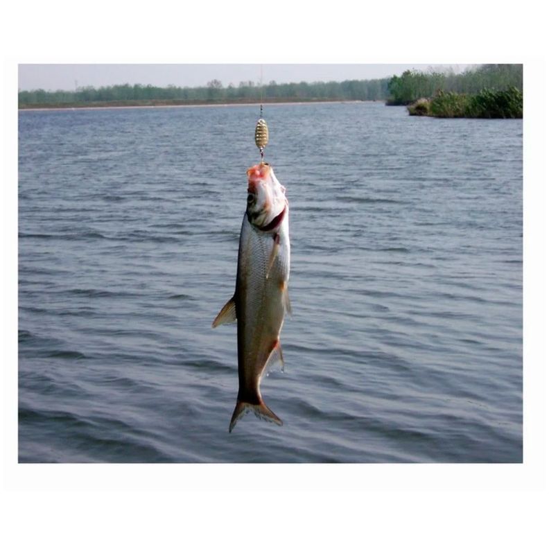 Chispa Giratoria 15g Pesca Deportiva Trucha, Salmon -3