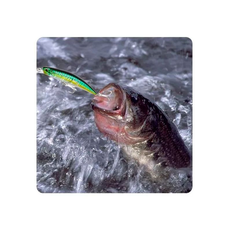 Señuelo Corvina y Lenguado Pesca de orilla 27g-2