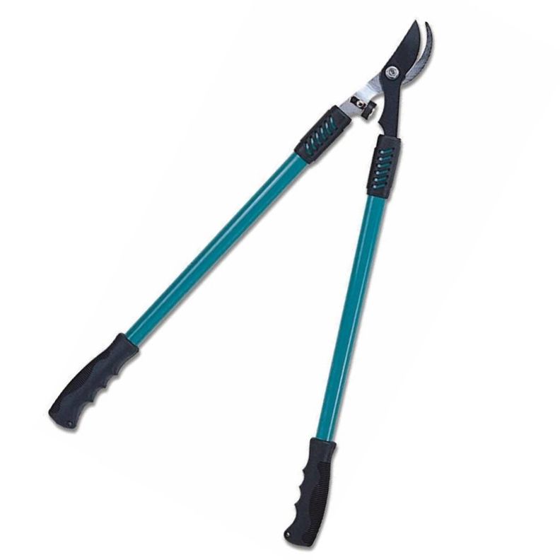Tijeron By Pass Green Season K018kg Green Season Verde