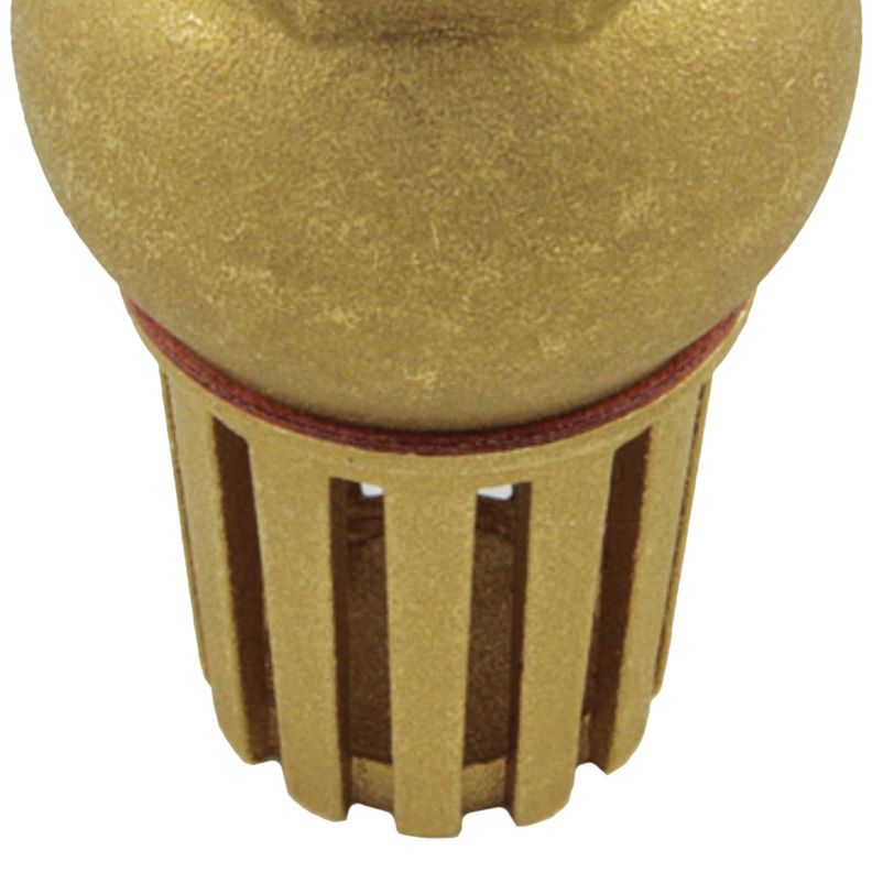 Valvula De Pie 2 1/2'' Metalica, Tiemme-2