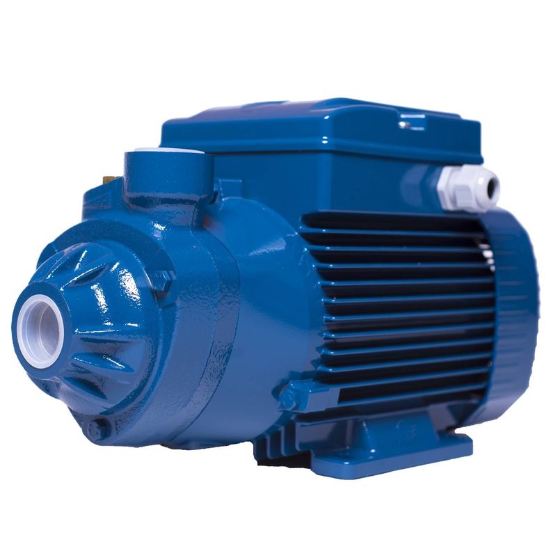 Electrobomba Periferica Marca Pedrollo  Pkm 100-0
