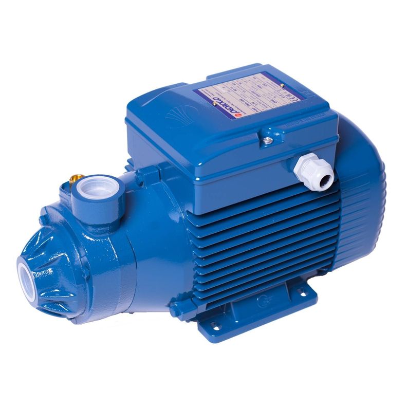 Electrobomba Periferica Marca Pedrollo  Pkm 100-1