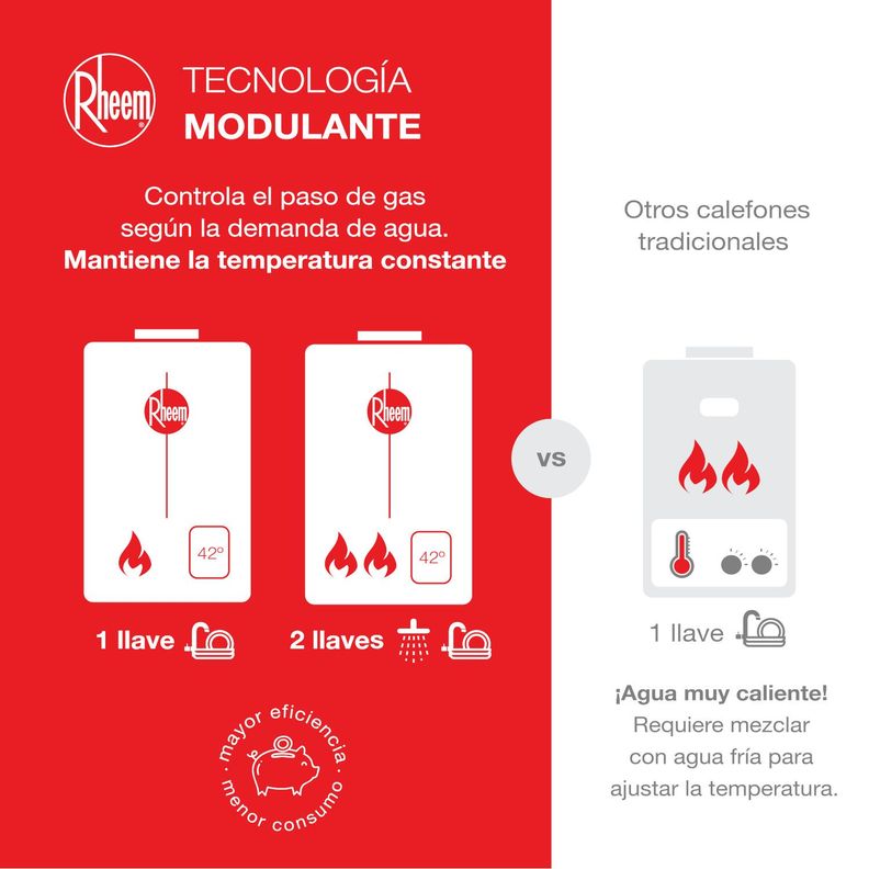 Calefont 10 litros Gas natural Tiro Natural Rheem-4