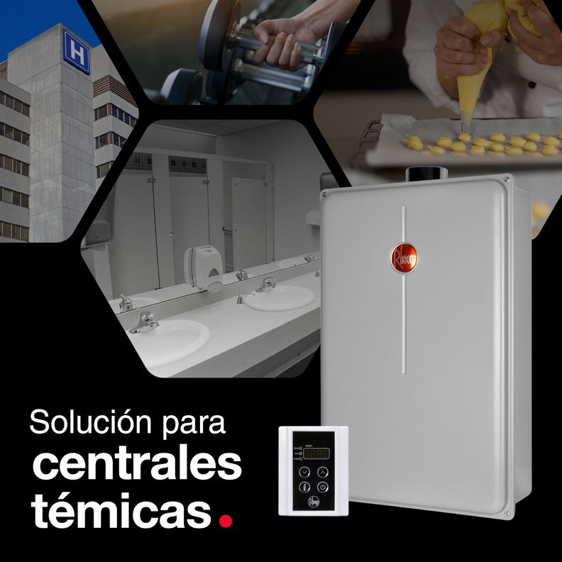 Calefont 28 litros Gas Natural Tiro forzado Rheem-5