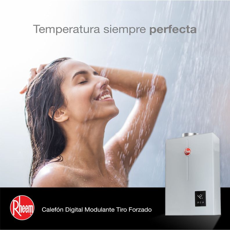 Calefont 18 litros Gas natural Tiro forzado Rheem-4