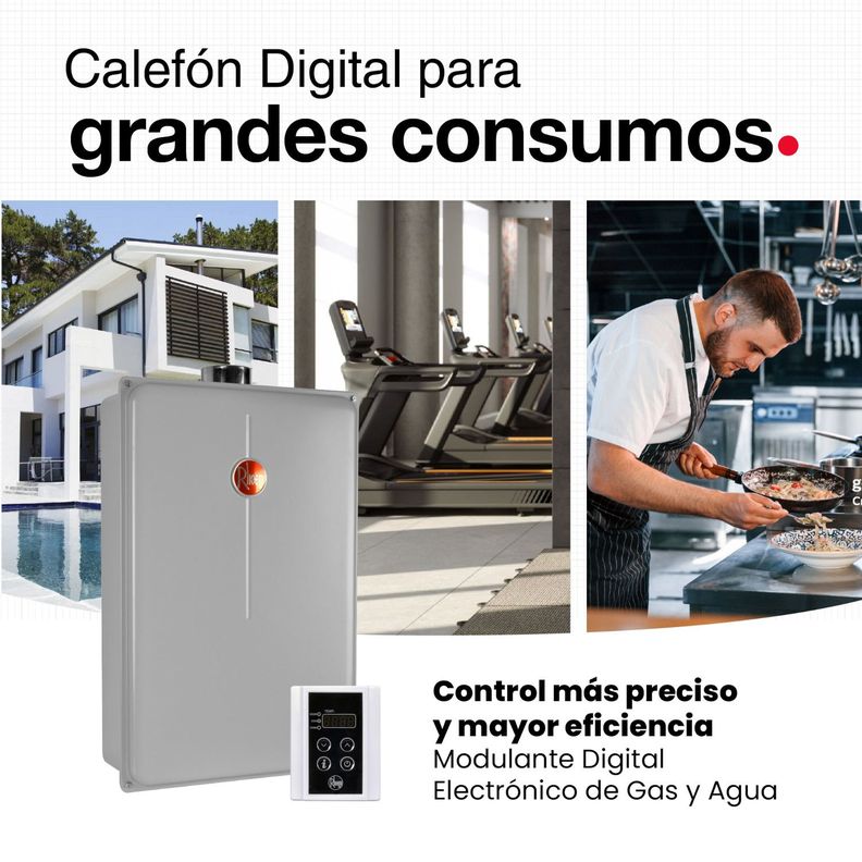 Calefont 28 litros Gas licuado Tiro forzado Rheem-8