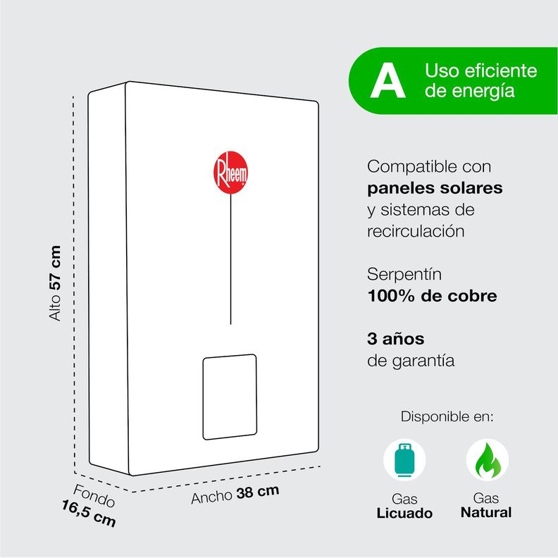 Calefont 21 L Gas Natural T. Forzado + Control digital Rheem-5