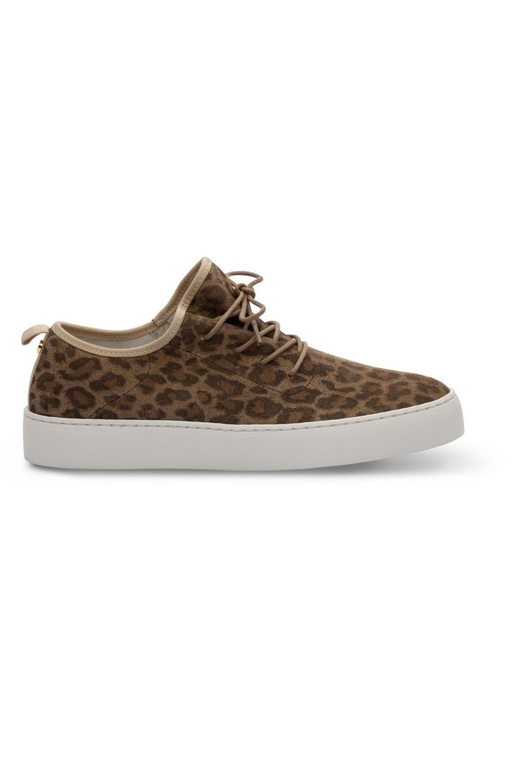 Zapato Ginger  Bullboxer-1