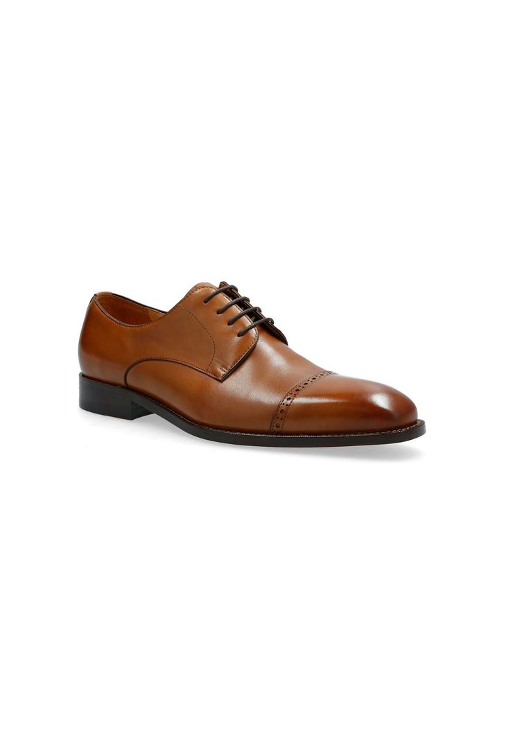 Zapato Dommer 0 05 Brandy A-1