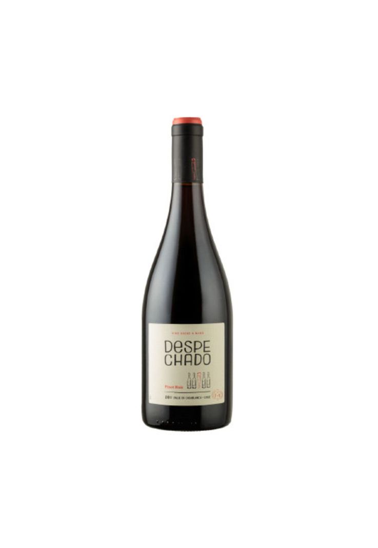Vino Morande Adventure Despechado Pinot Noir-0