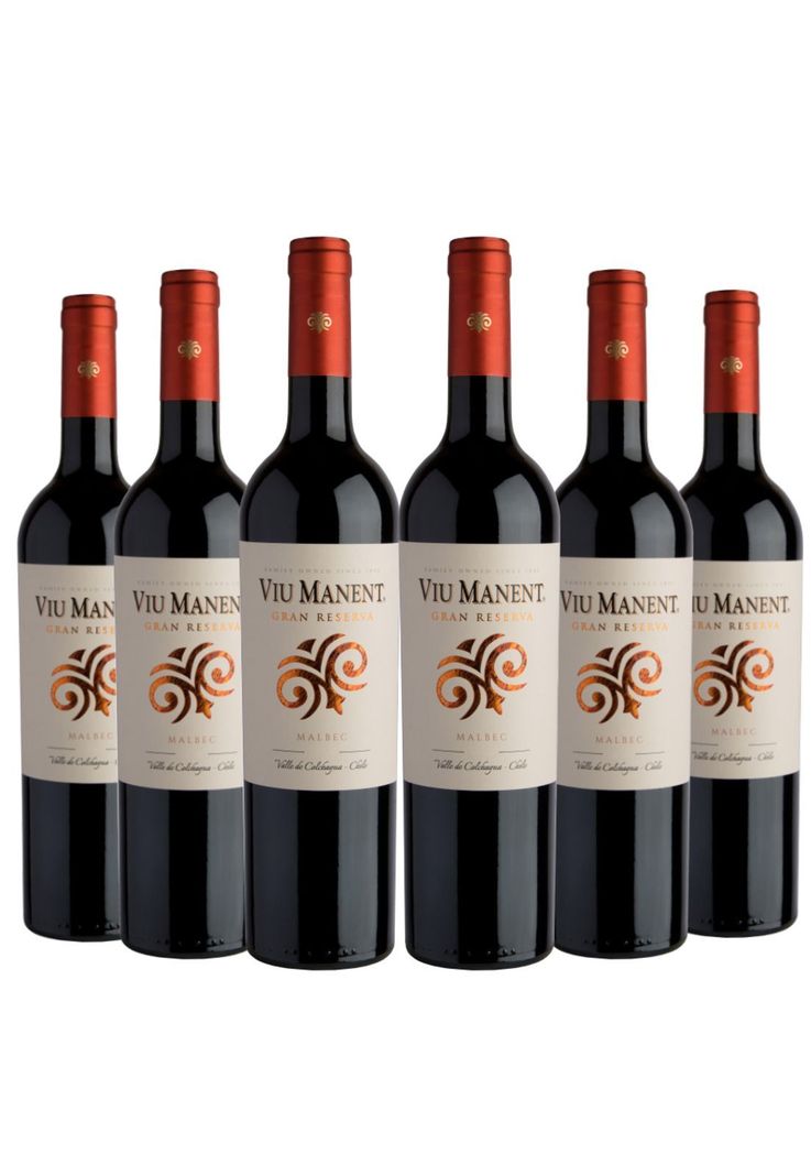 6 Vinos Viu Manent Gran Reserva Malbec Rojo