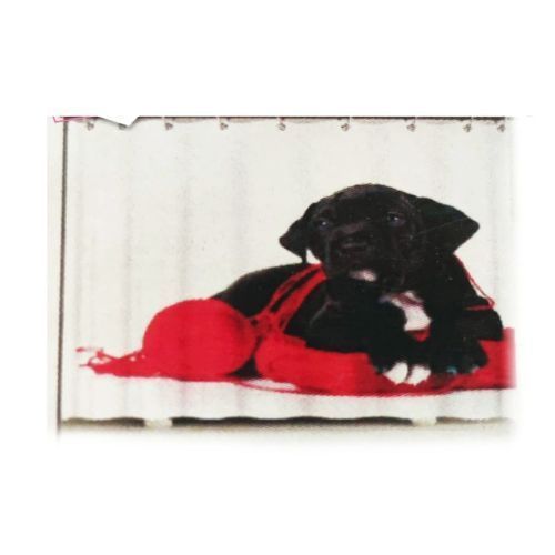 Cortina De Ducha Perro Con Lana Roja-0