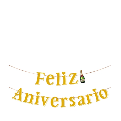Guirnalda Feliz Aniversario 5m-1