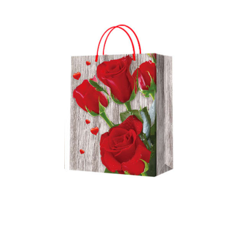 Bolsa De Regalo Diseño Y Colores Surtidos 31X12X40Cm 12Unid -0
