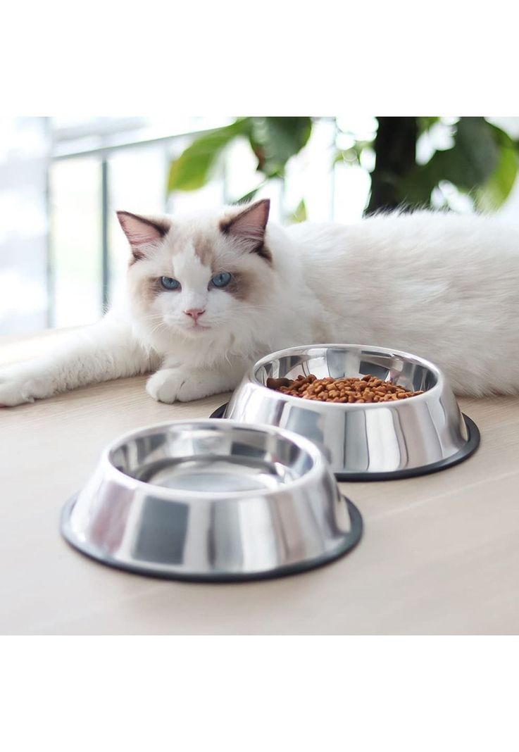 Plato Acero Inoxidable Antideslizante Mascotas Perro - Gato 27 cm-5