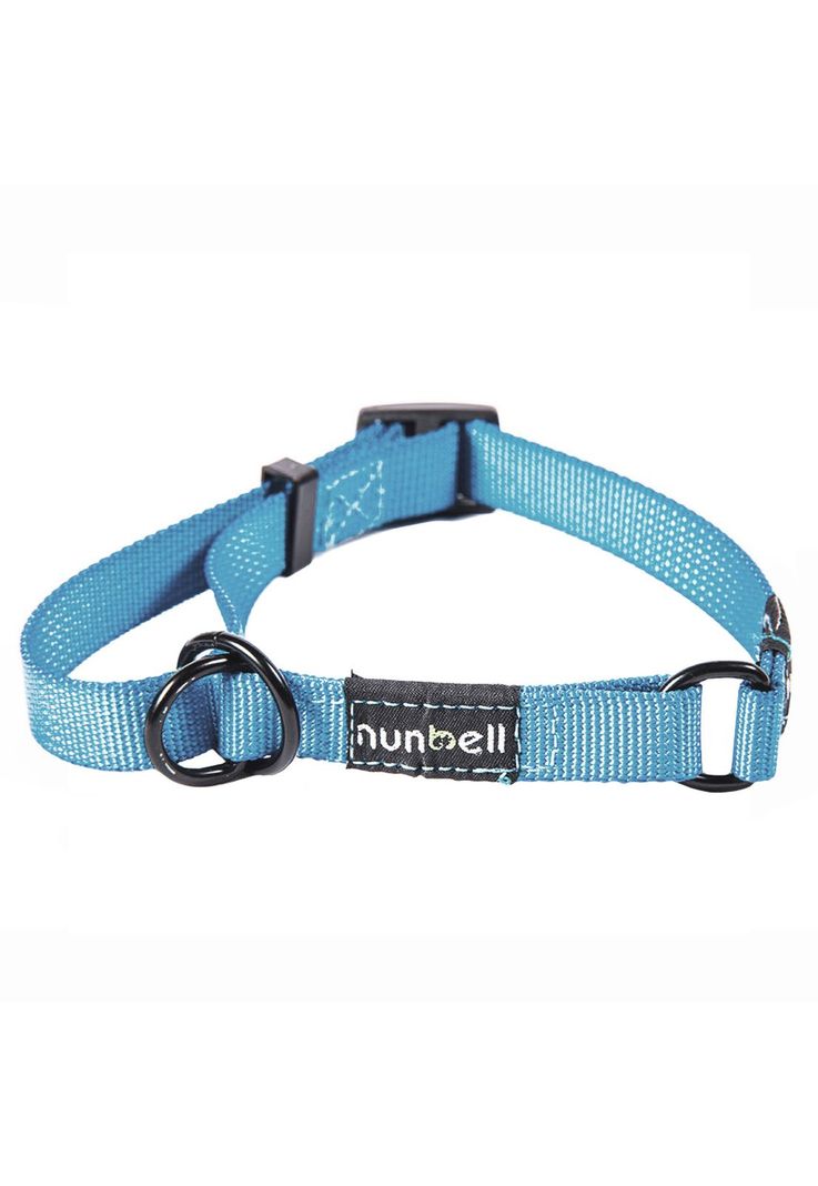 Collar Gato y Perro Resistente y Ajustable Celeste-1