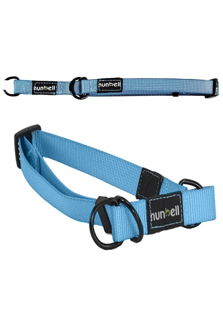 Collar Gato y Perro Resistente y Ajustable Celeste-3