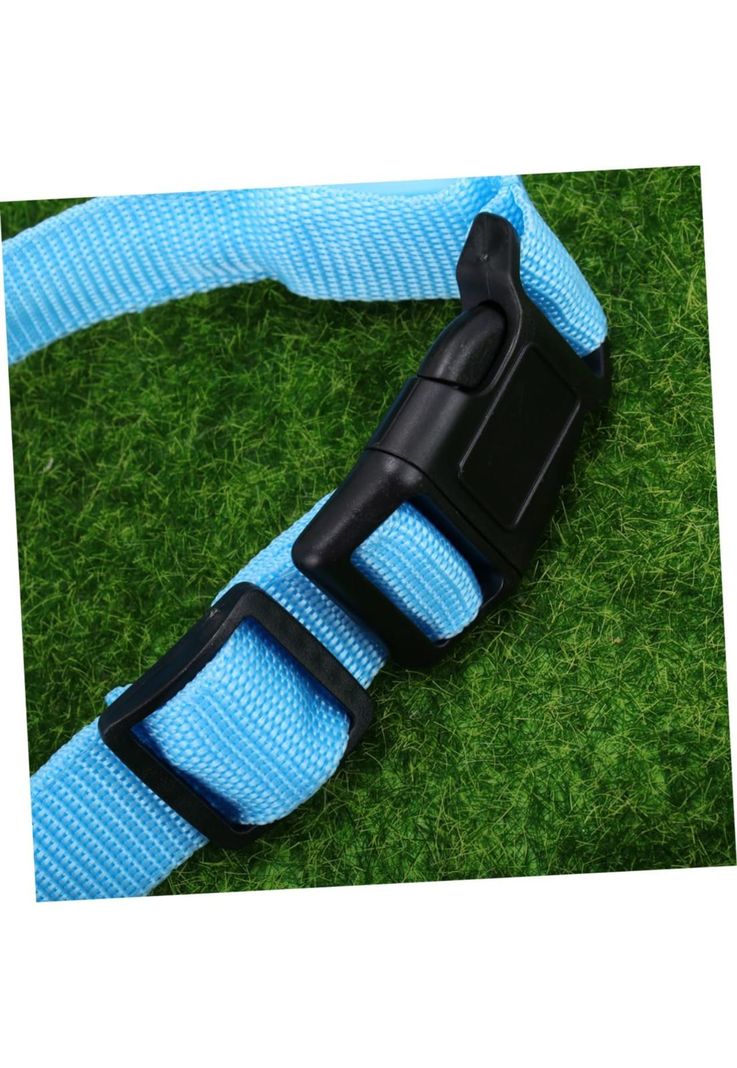 Collar Gato y Perro Resistente y Ajustable Celeste-4