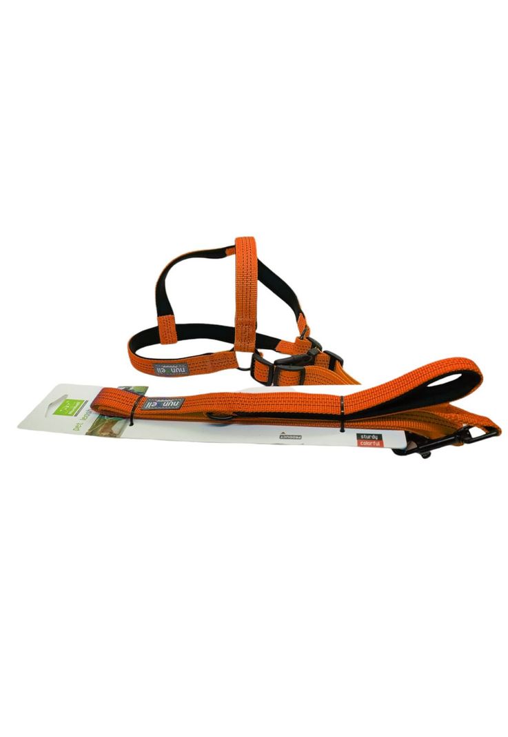 Arnes Con Correa Mascotas Resistente y Ajustable Naranjo-1