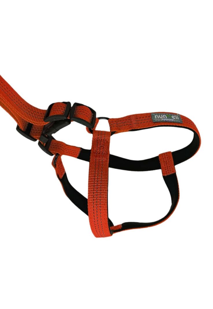 Arnes Con Correa Mascotas Resistente y Ajustable Naranjo-2