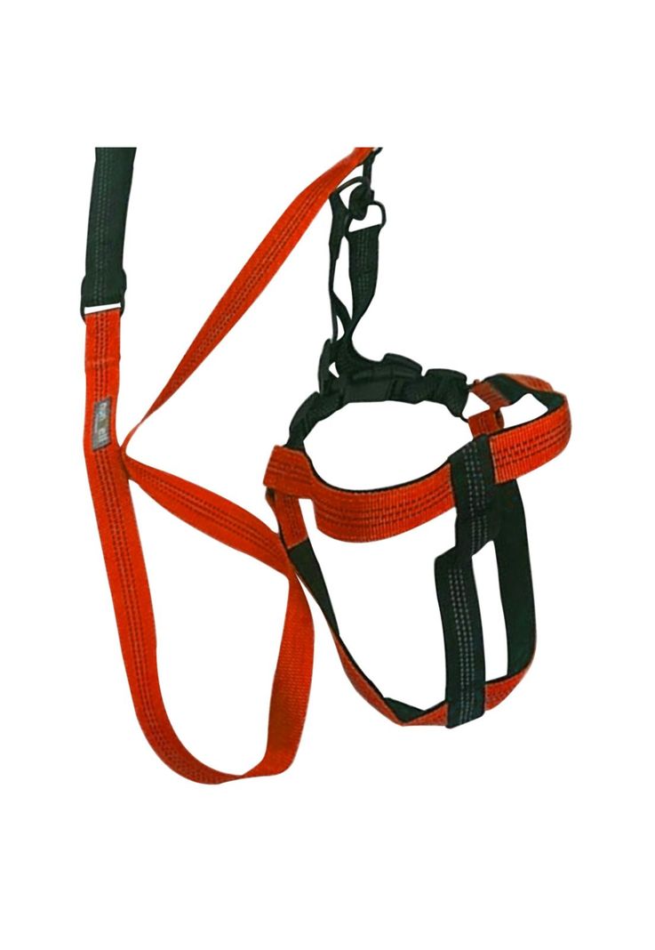 Arnes Con Correa Mascotas Resistente y Ajustable Naranjo-3