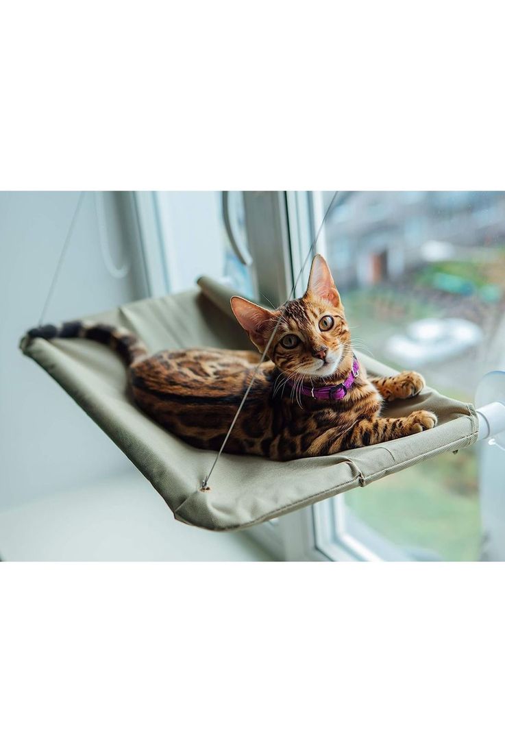 Cama Hamaca Mascotas Ventana Gatos 55x32 CM-2