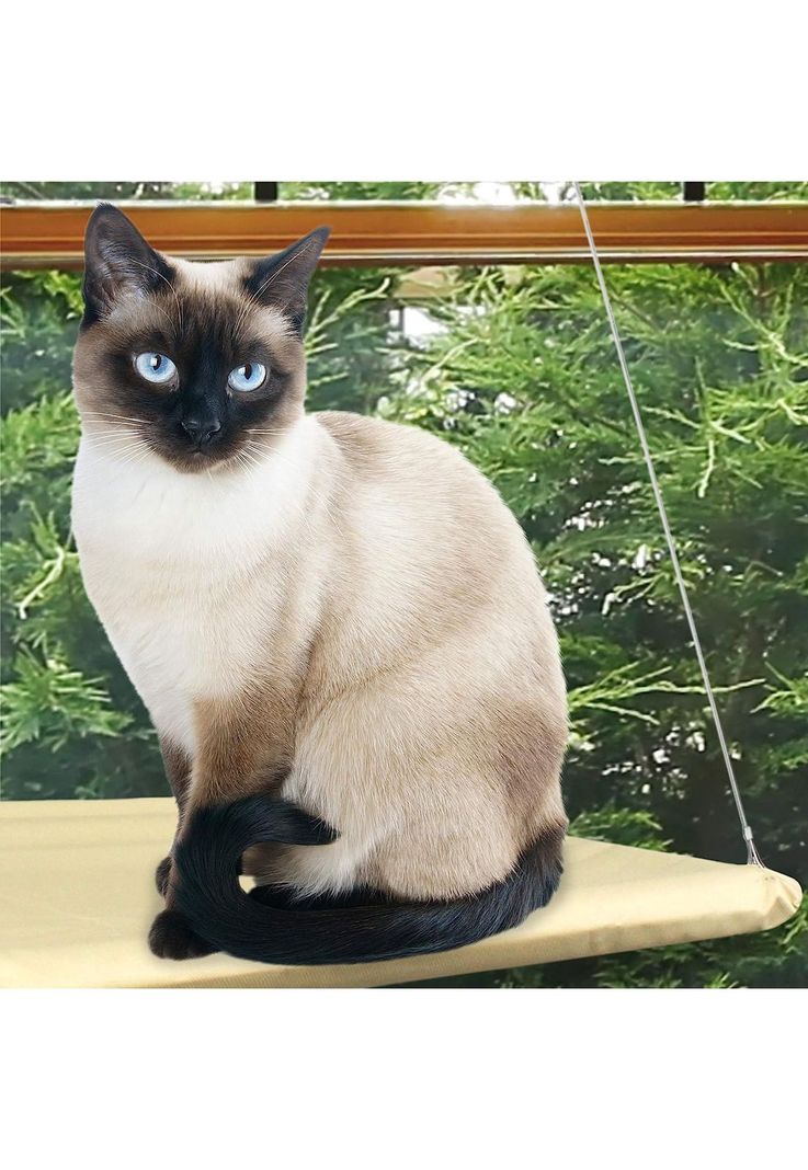 Cama Hamaca Mascotas Ventana Gatos 55x32 CM-3