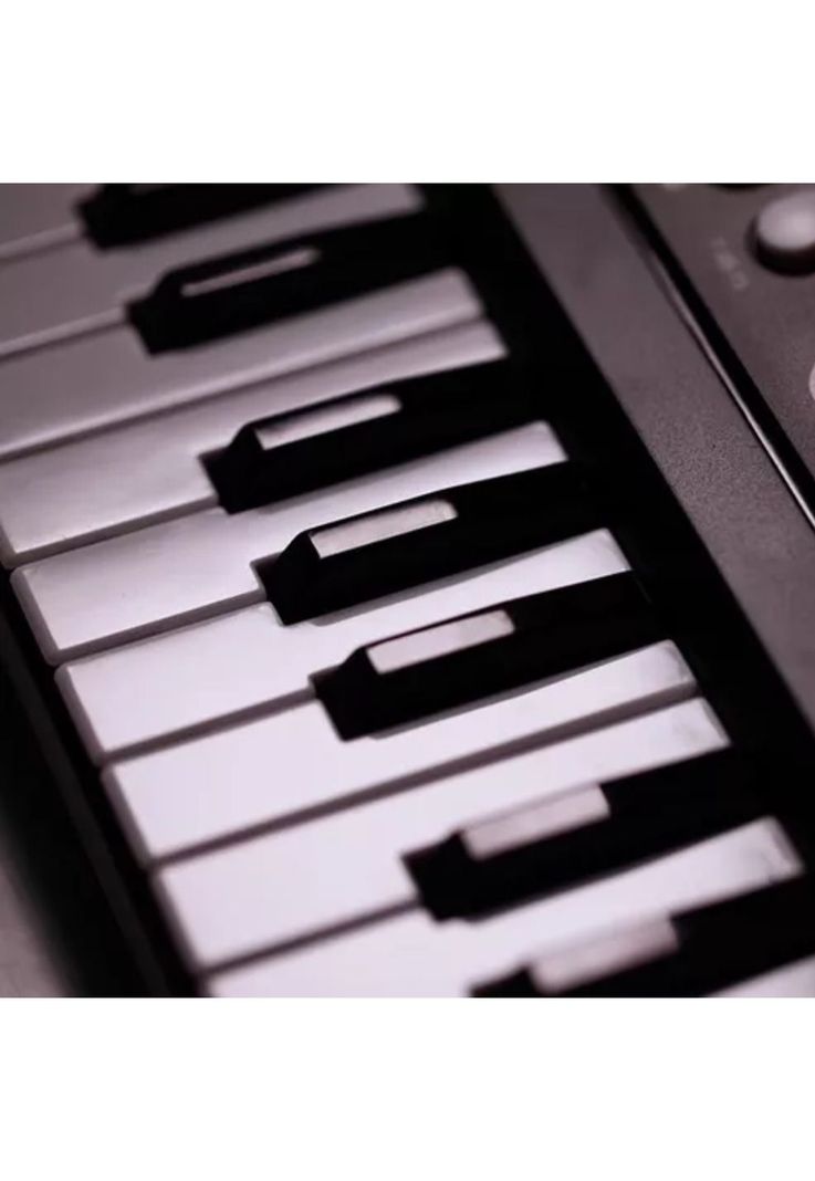Teclado Piano Musical Digital 61 Teclas 16 Tonos-3