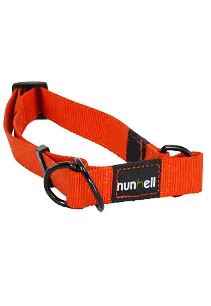 Collar Gato y Perro Resistente y Ajustable Naranjo-2