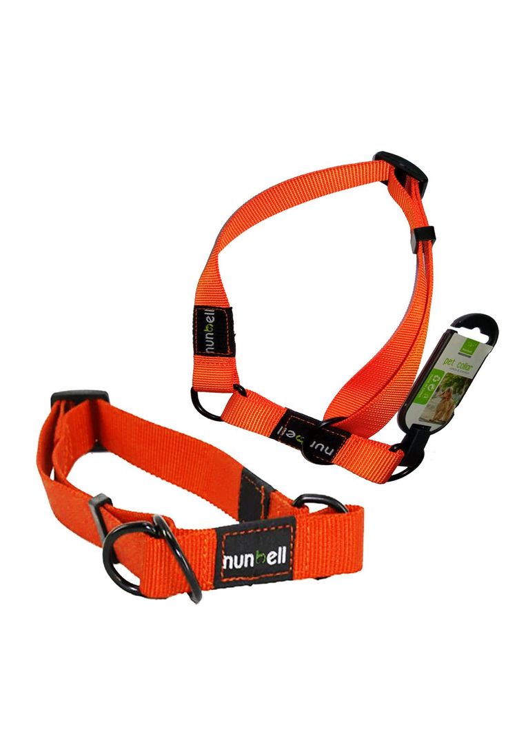 Collar Gato y Perro Resistente y Ajustable Naranjo-3