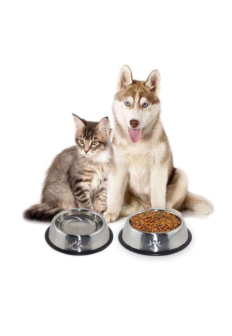 Plato Acero Inoxidable Antideslizante Mascotas Perro - Gato 30 cm-5