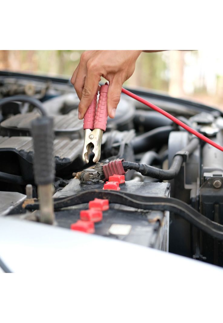 Cargador Batería Auto Moto 6/12 V 6 AMP-4