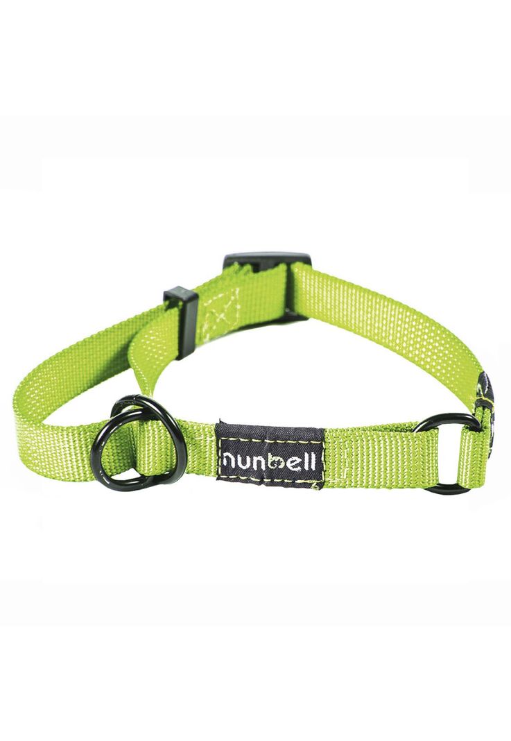 Collar Gato y Perro Resistente y Ajustable Verde-1