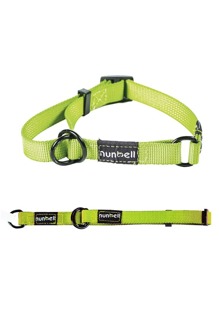 Collar Gato y Perro Resistente y Ajustable Verde-3