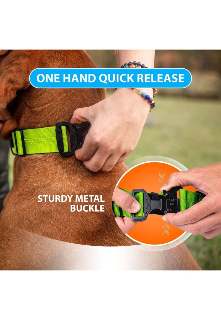 Collar Gato y Perro Resistente y Ajustable Verde-4