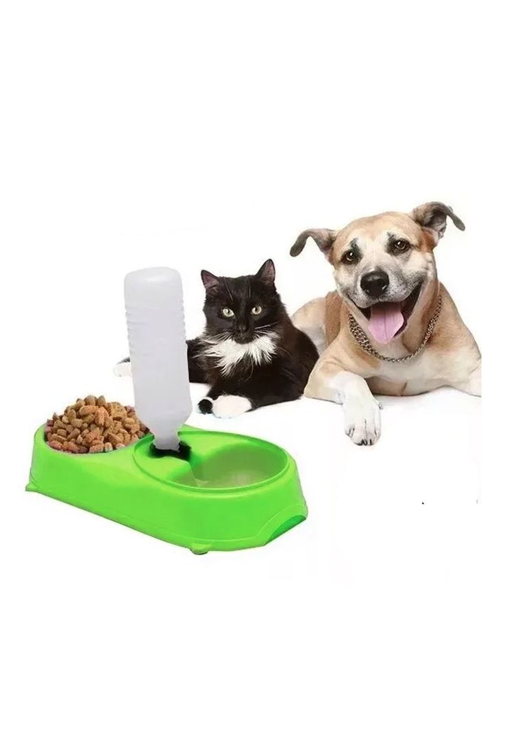 Dispensador Plato Agua Comida Mascotas Verde-4