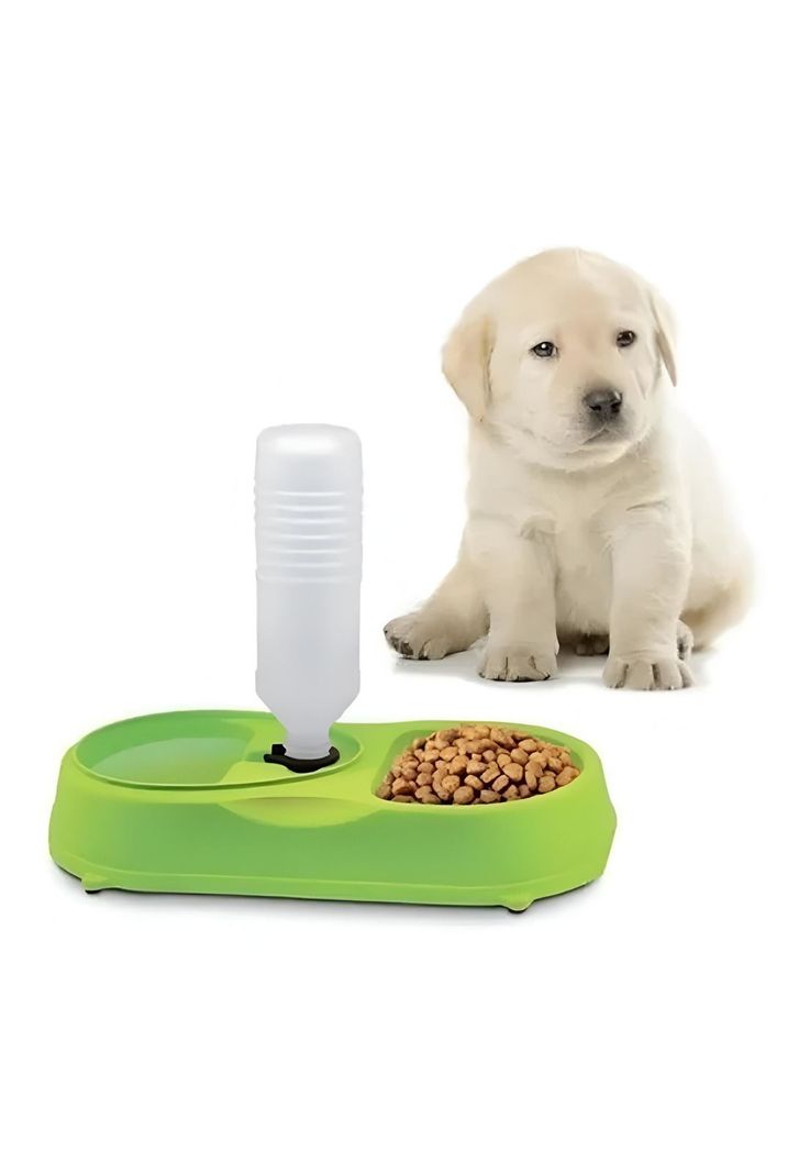 Dispensador Plato Agua Comida Mascotas Verde-5