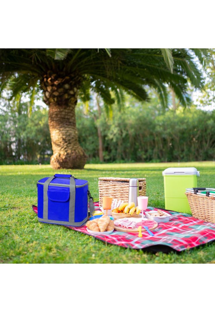 Bolso Cooler Sindy 37x29x21 CM Azul-4