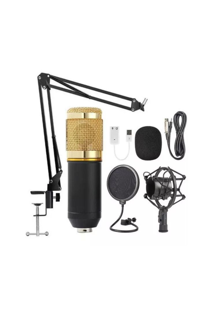 Set Micrófono Condensador Articulado Estéreo Profesional-0