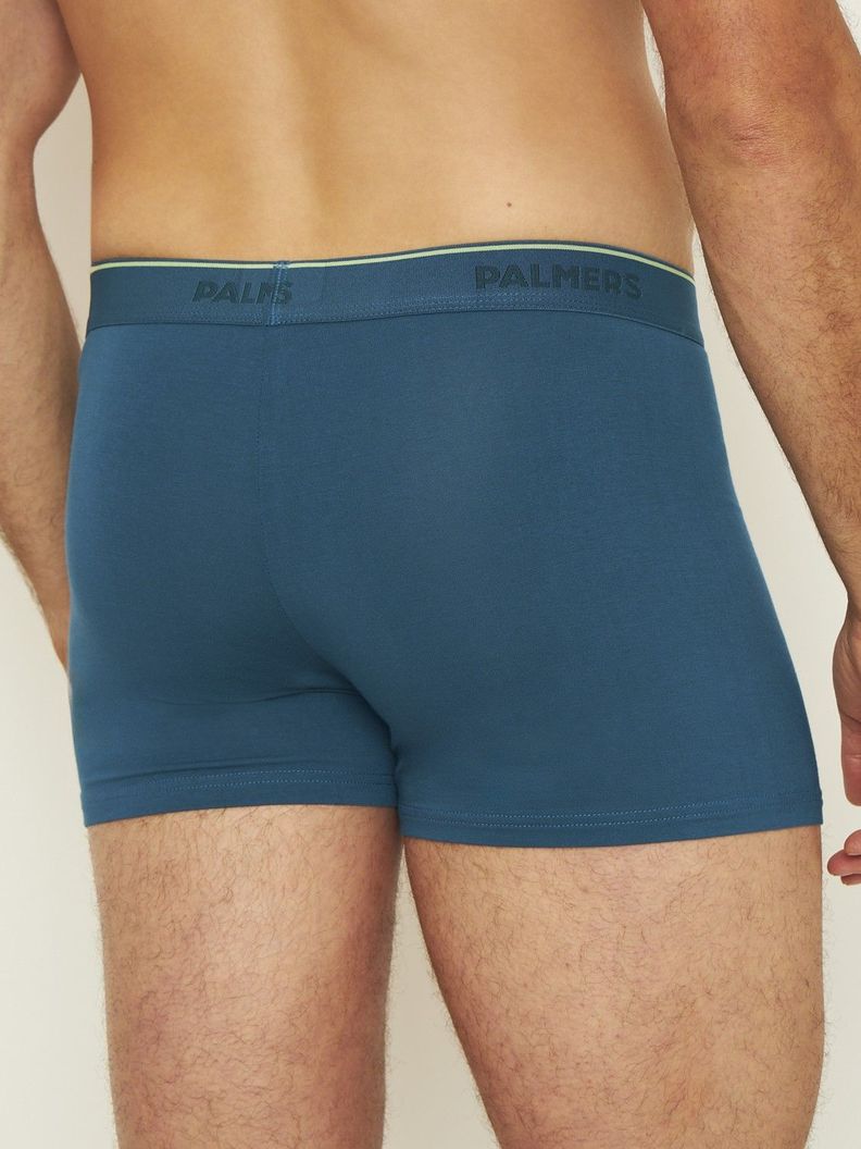Pack 3 Bóxer Medio Bambu Palmers Hombre P309BM34-4
