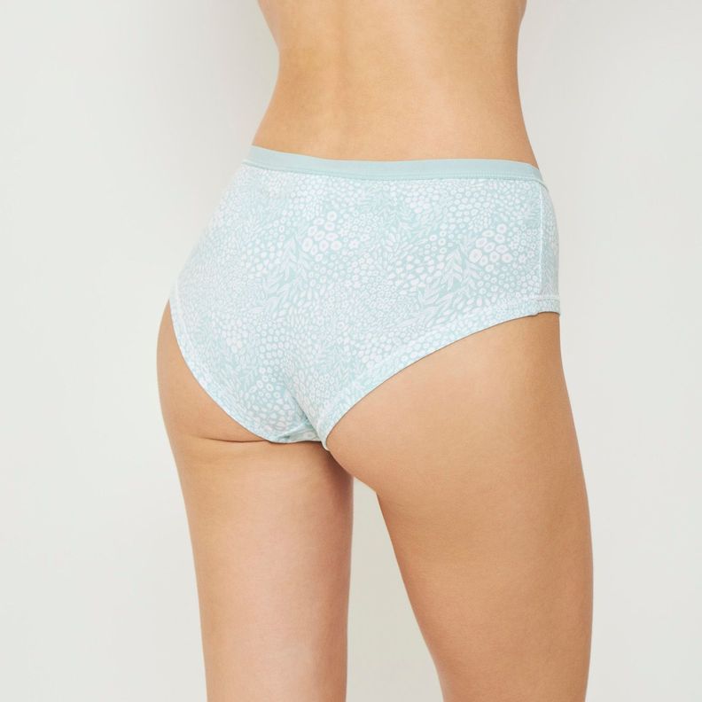 Pack 4 Pantaleta Algodón Palmers Mujer P40874224-3