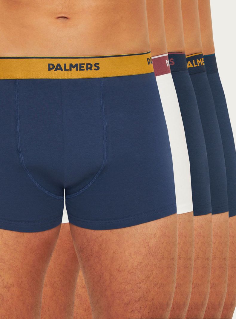 Pack 5 Bóxer Medio Algodón Palmers Hombre P5139C71-0