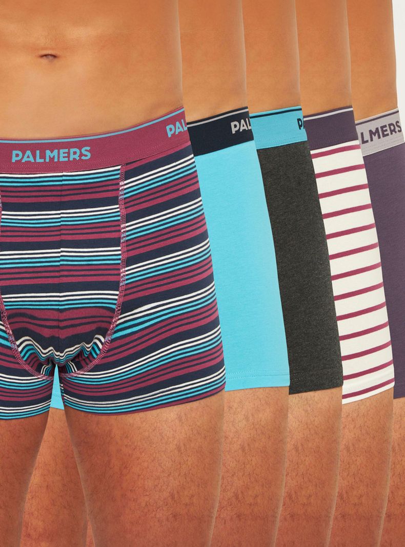 Pack 5 Boxer Medio Algodón Palmers P5109l10-0