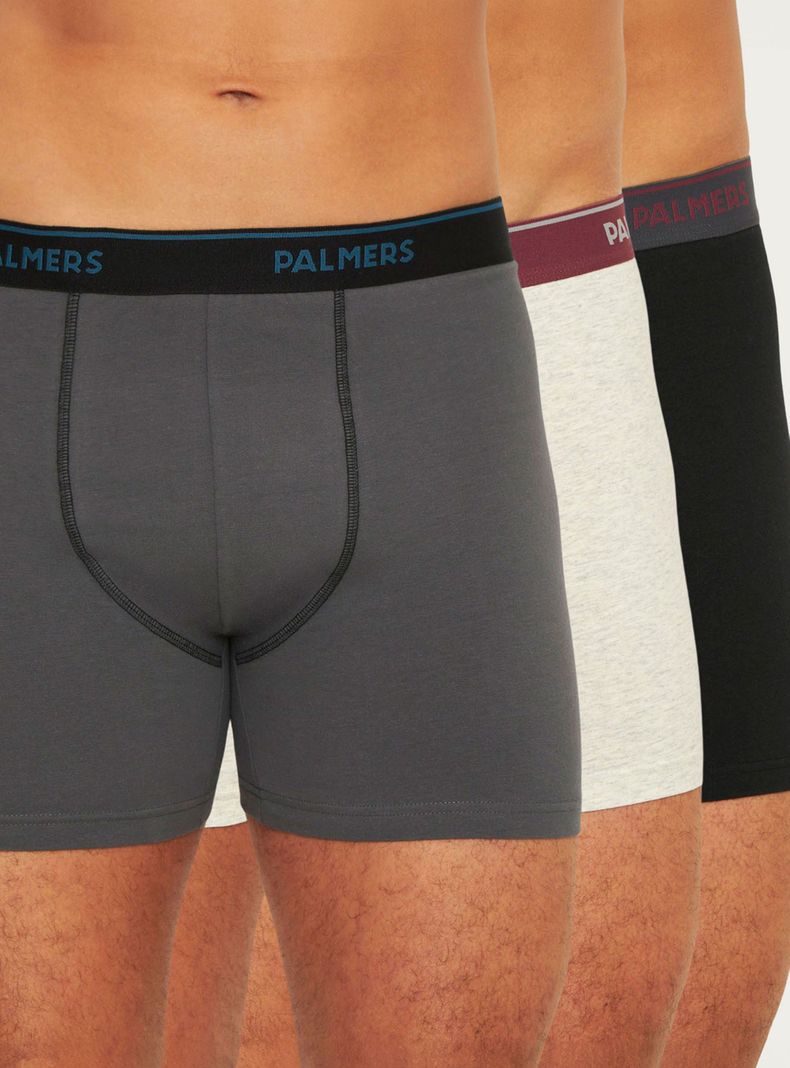Pack 3 Bóxer Largo Algodón Palmers Hombre P3113L89-0