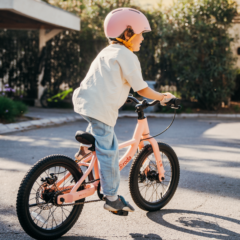 Bicicleta Roda Pro Series Aro 16-2