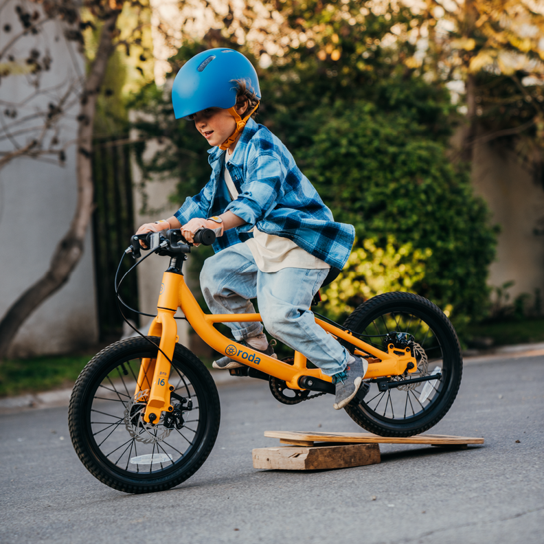 Bicicleta Roda Pro Series Aro 16-3