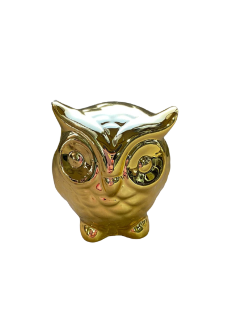 Buho cabeza -1