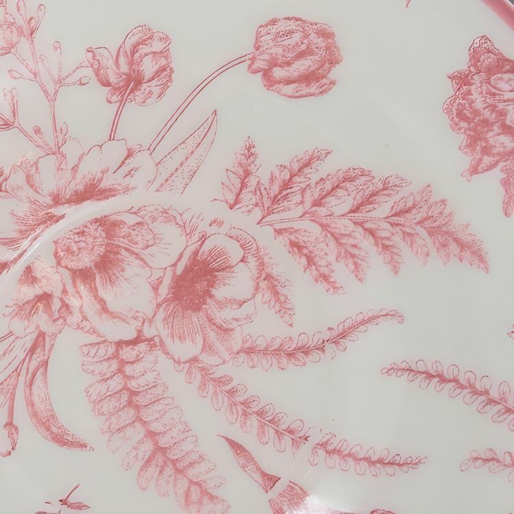 set x 2 PLATO SOPA Ensaladera 24 cm Rose-2