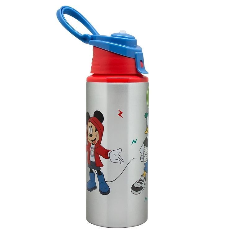 Botella Metalica 500ml Licencias-1